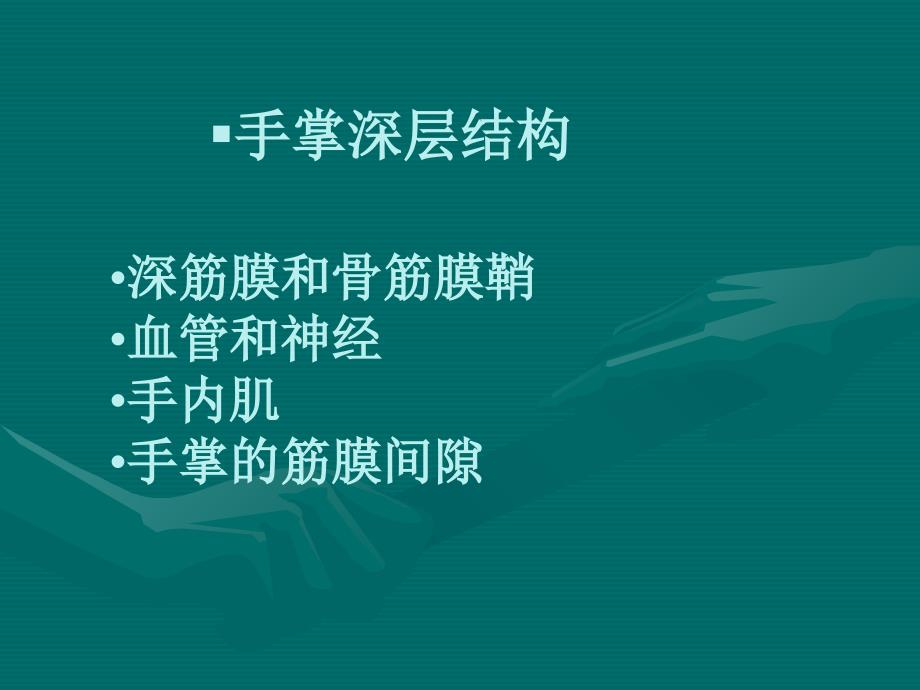 局部解剖学10.腕前区、手掌和手指掌侧面文档资料_第2页