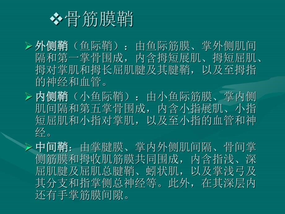 局部解剖学10.腕前区、手掌和手指掌侧面文档资料_第5页