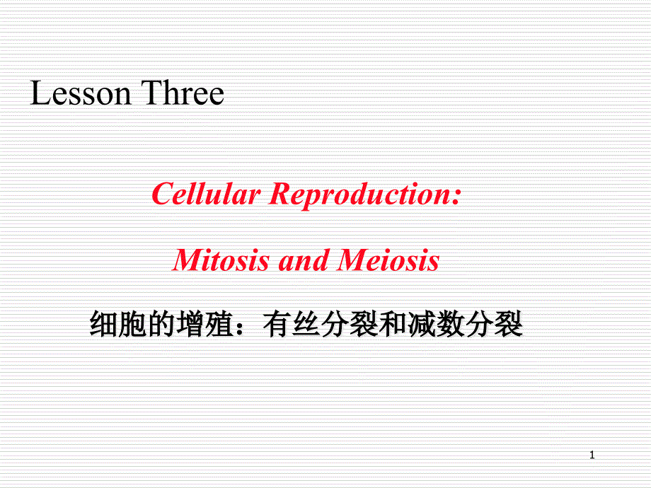 Lesson3生物专业英语_第1页