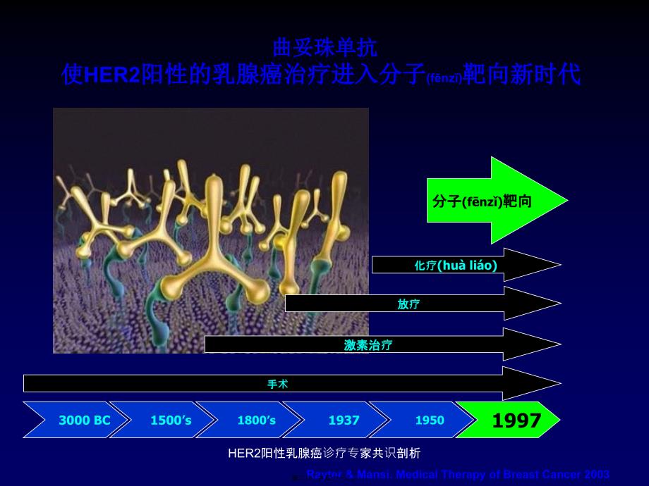 HER2阳性乳腺癌诊疗专家共识剖析课件_第2页