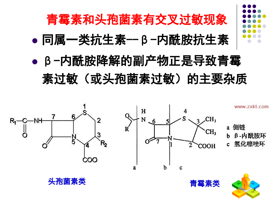 药物过敏反应及过敏性休克抢救_第4页