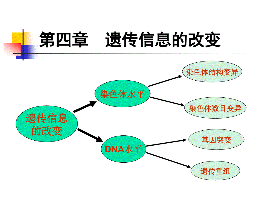 遗传信息的改变课件_第1页