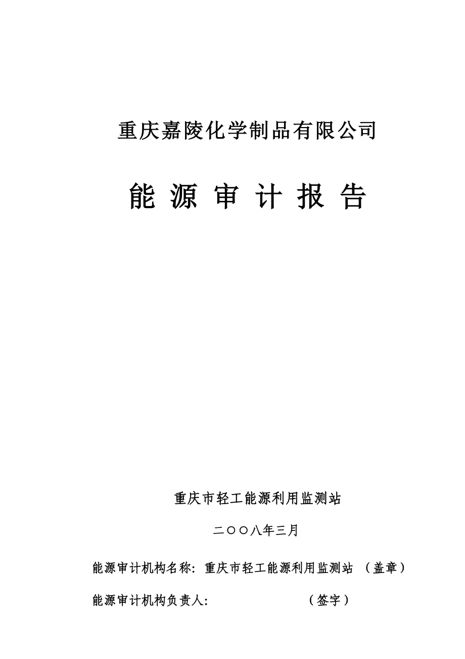 嘉陵化学制品有限公司能源审计报告正式版1_第1页