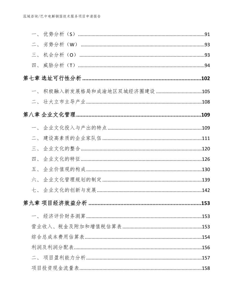 巴中电解铜箔技术服务项目申请报告_第5页