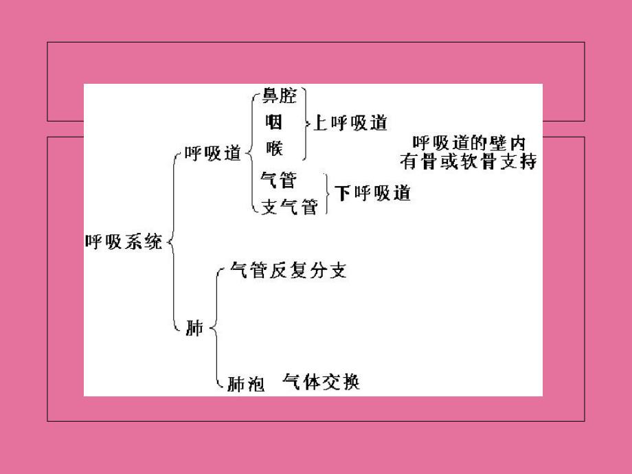 动物生理学第四章ppt课件_第2页