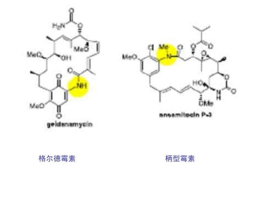 第10章细菌耐药性的非特异性机制_第5页