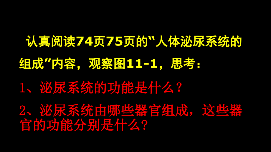 苏教版七年级生物下册第11章第1节人体泌尿系统的组成-ppt课件_第4页