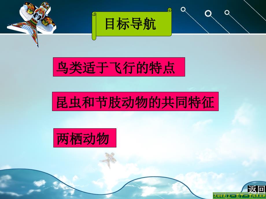 513空中飞行的动物昆虫_第3页