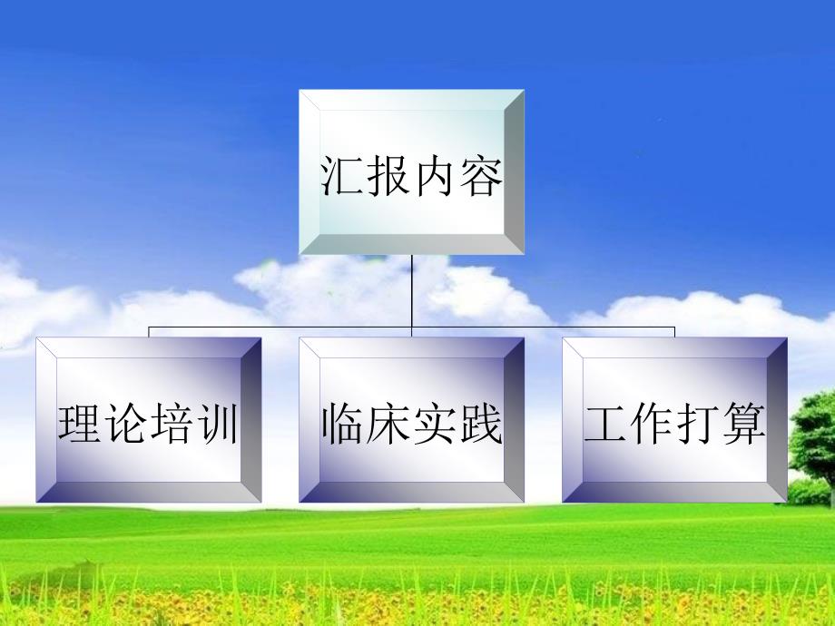 护理学学习汇报_第2页