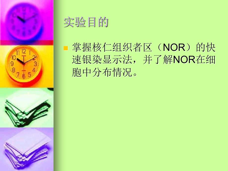 实验八核仁组织者区(NOR)的银染显示法_第2页