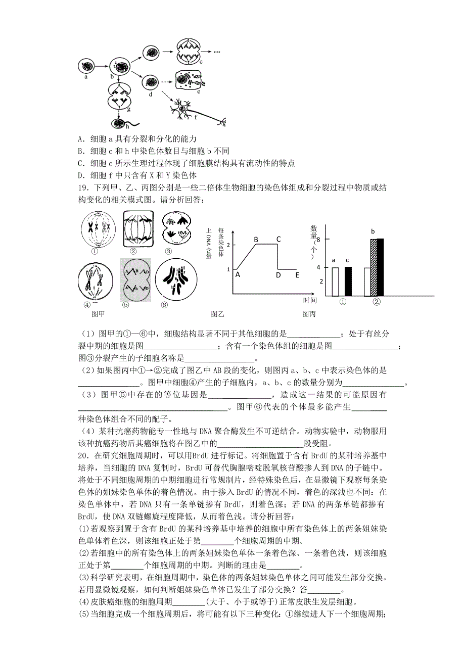 河南省光山二高2016届高三生物复习第六章细胞的生命历程单元强化训练题含解析新人教版必修1_第3页