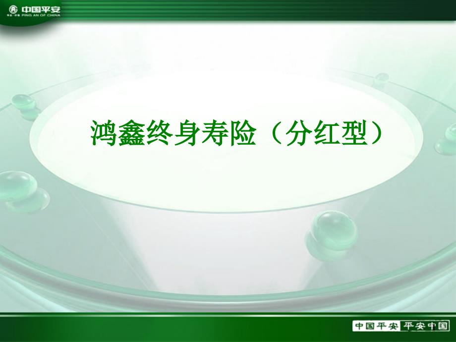 保险公司培训：鸿鑫险种培训_第1页