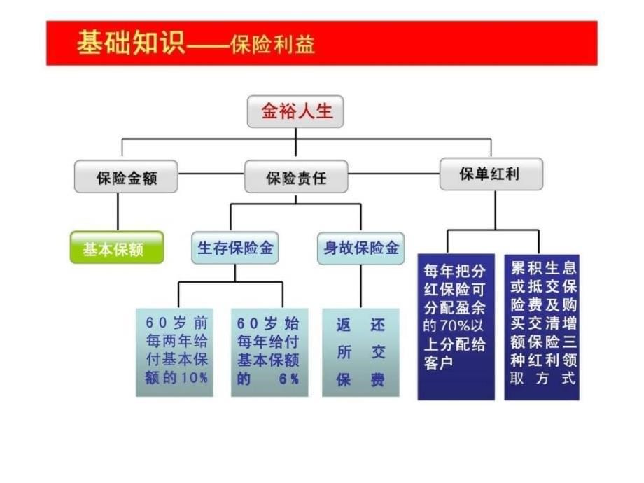 平安人寿金裕人生保险销售技巧篇_第5页