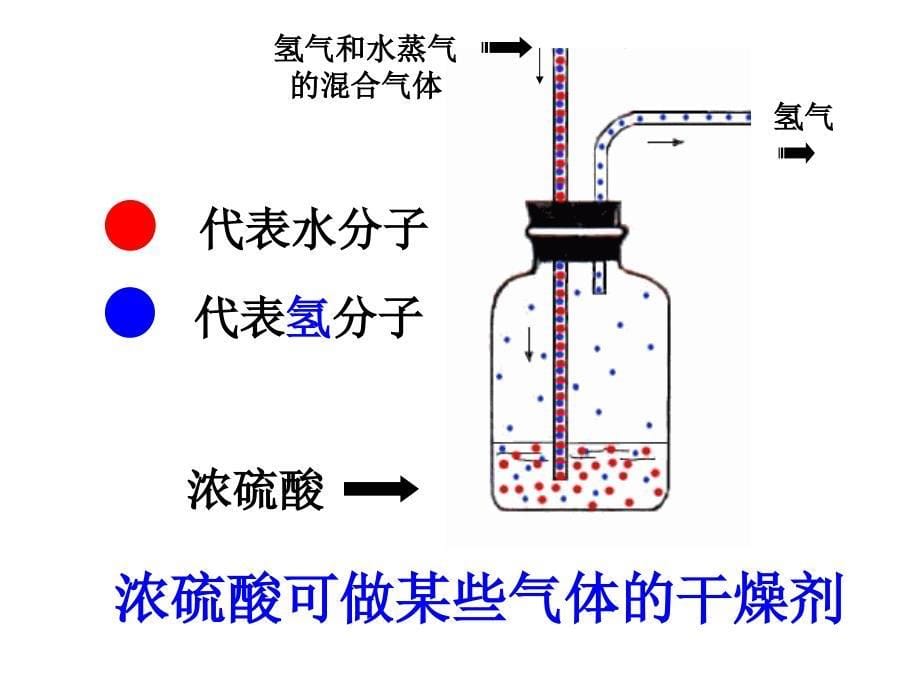 《酸及其性质》(上课用)课件_第5页