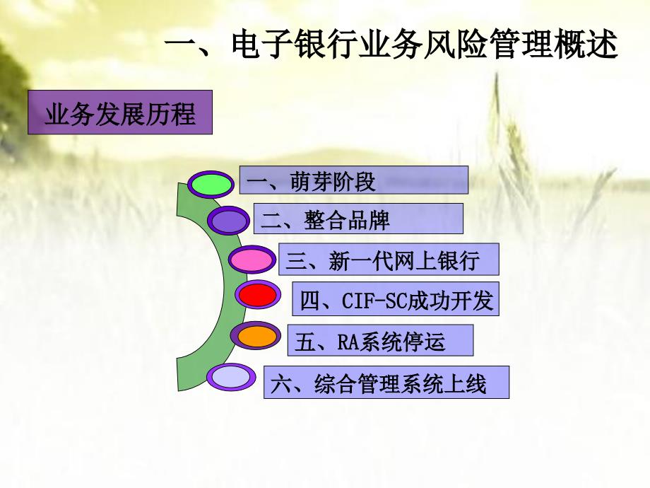 电子银行业务风险管理培训ppt课件_第3页