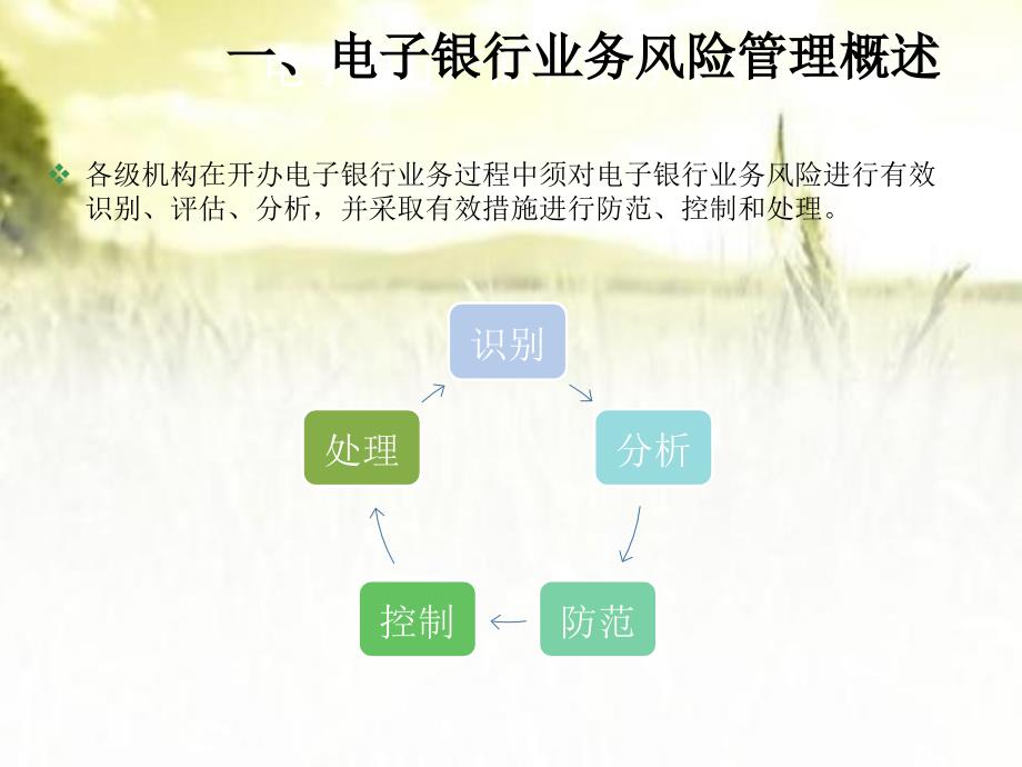 电子银行业务风险管理培训ppt课件_第4页