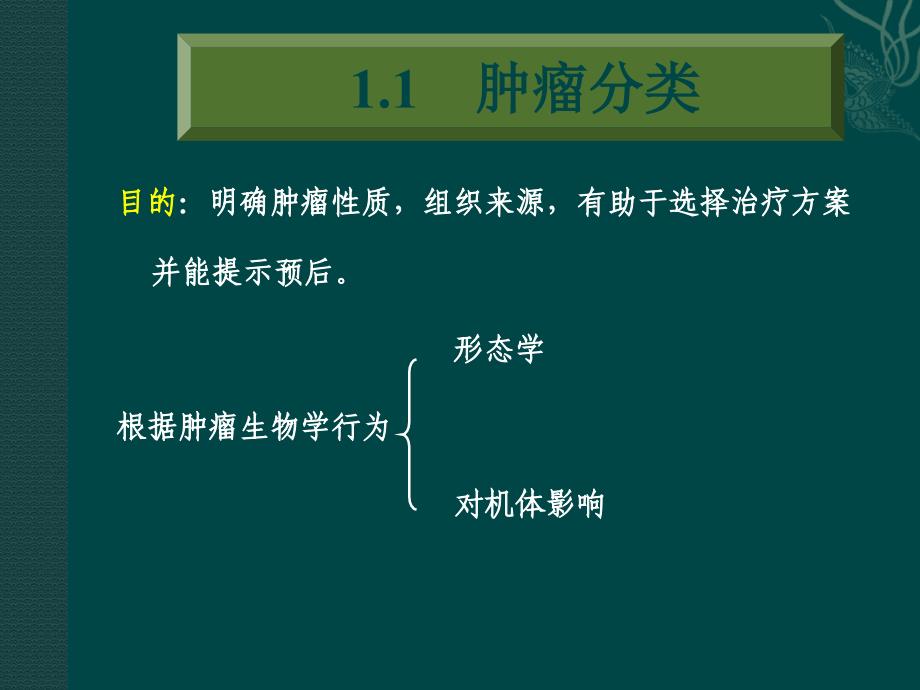 肿瘤课件完整版PPT课件_第4页