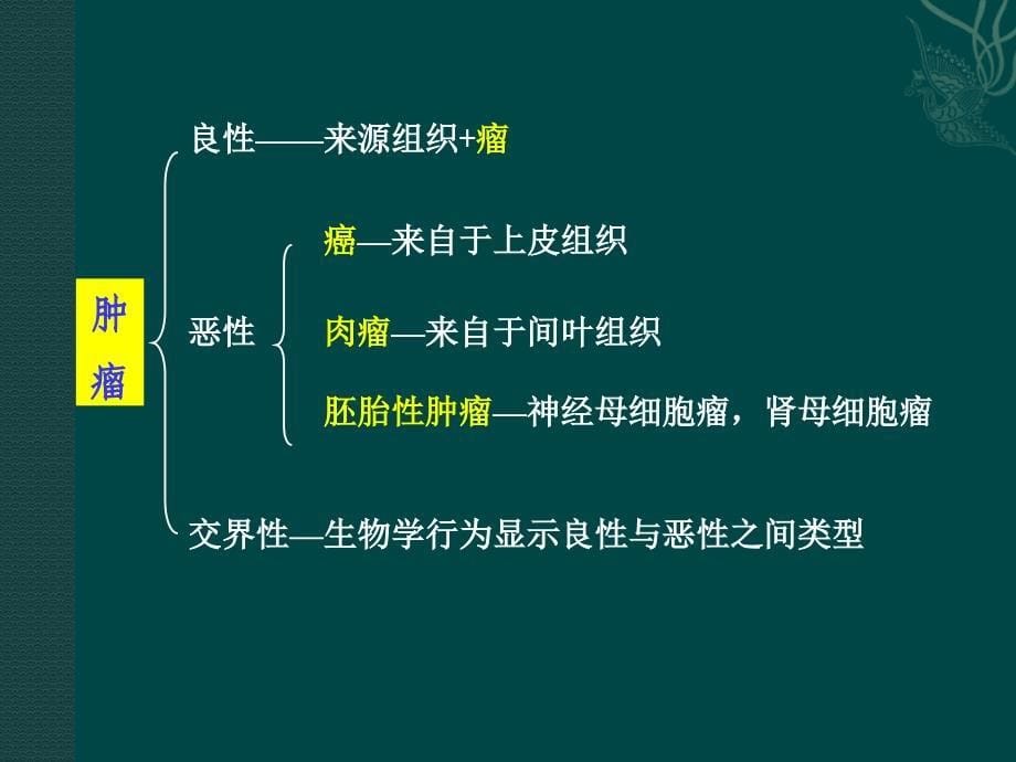 肿瘤课件完整版PPT课件_第5页