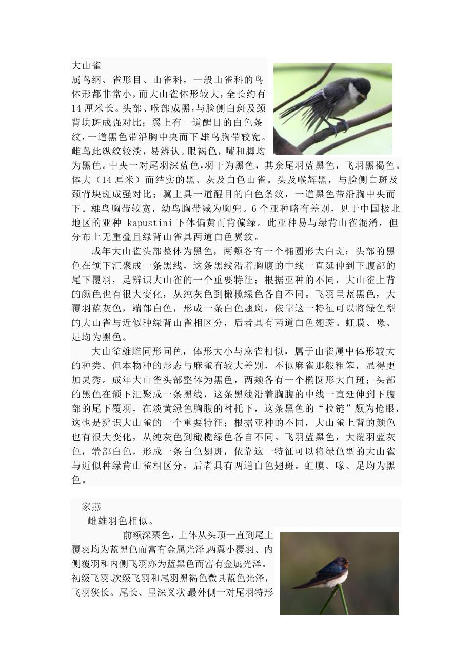 上海常见鸟类资料_第1页