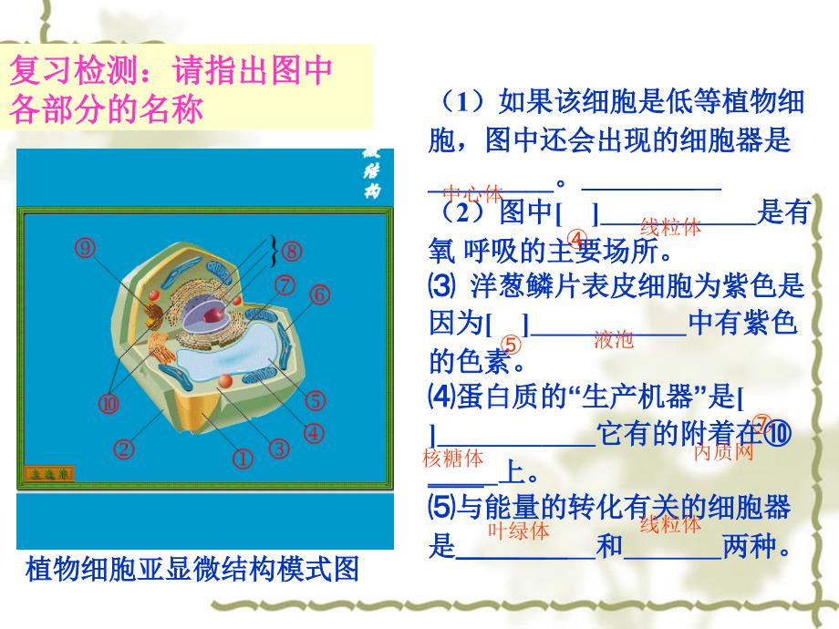 322细胞器系统内的分工合作_第2页