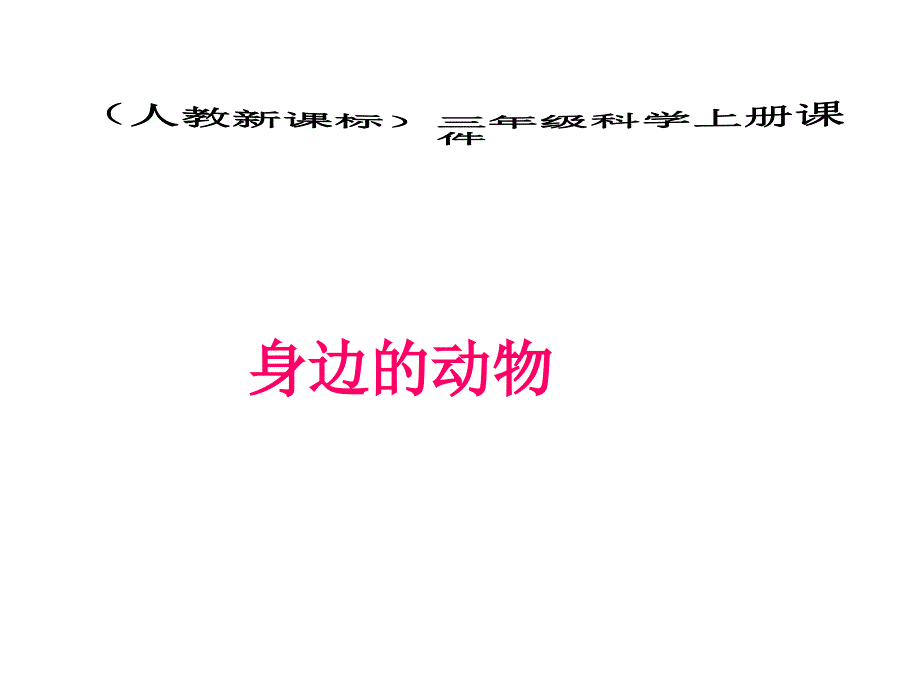 三年级科学上册身边的动物课件1新人教版_第1页