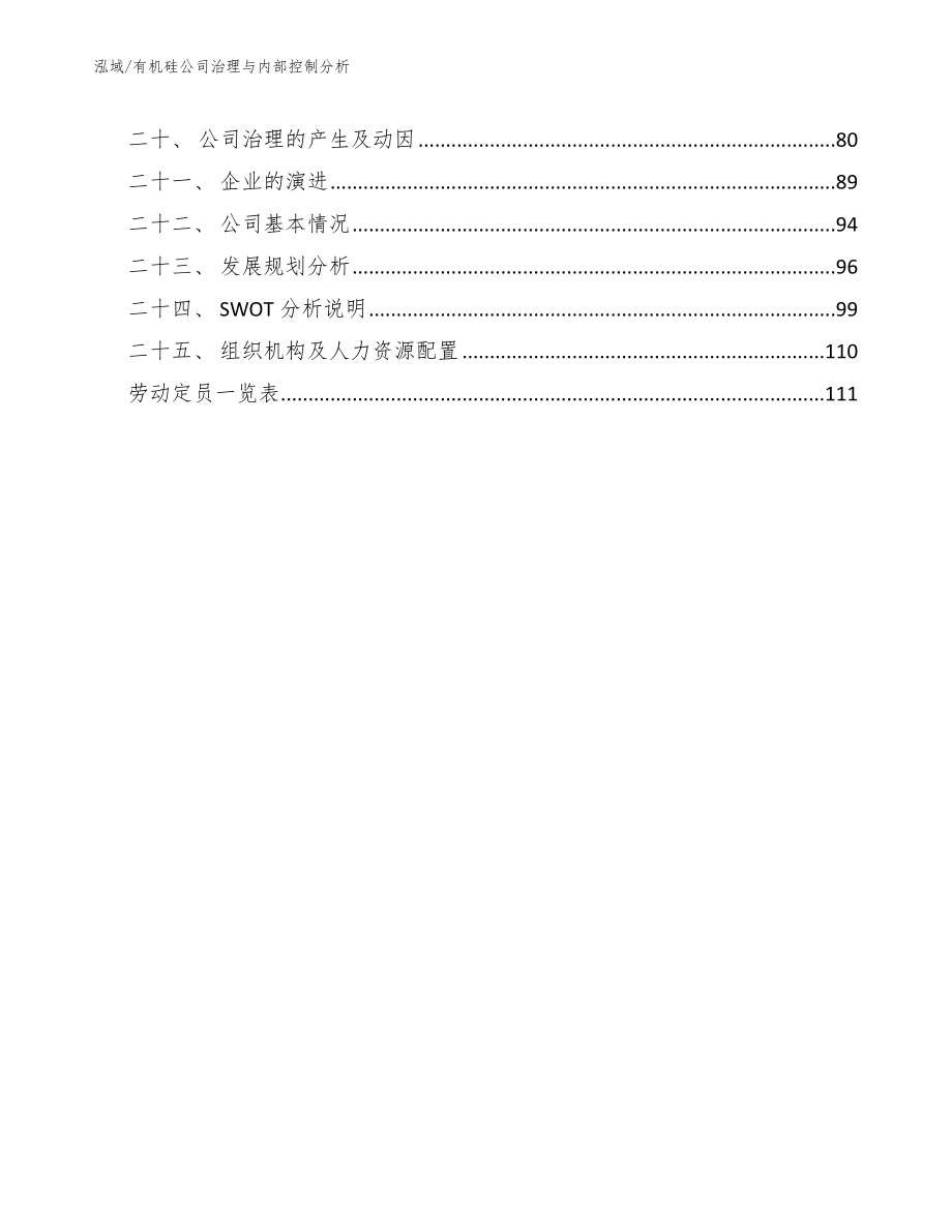 有机硅公司治理与内部控制分析（参考）_第2页