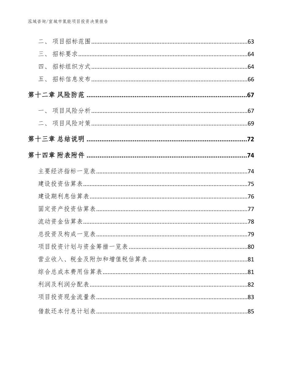 宣城市氢能项目投资决策报告范文_第5页