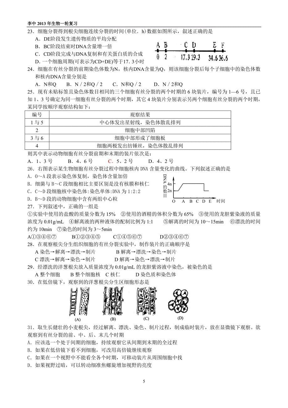 考点12细胞增殖.doc_第5页