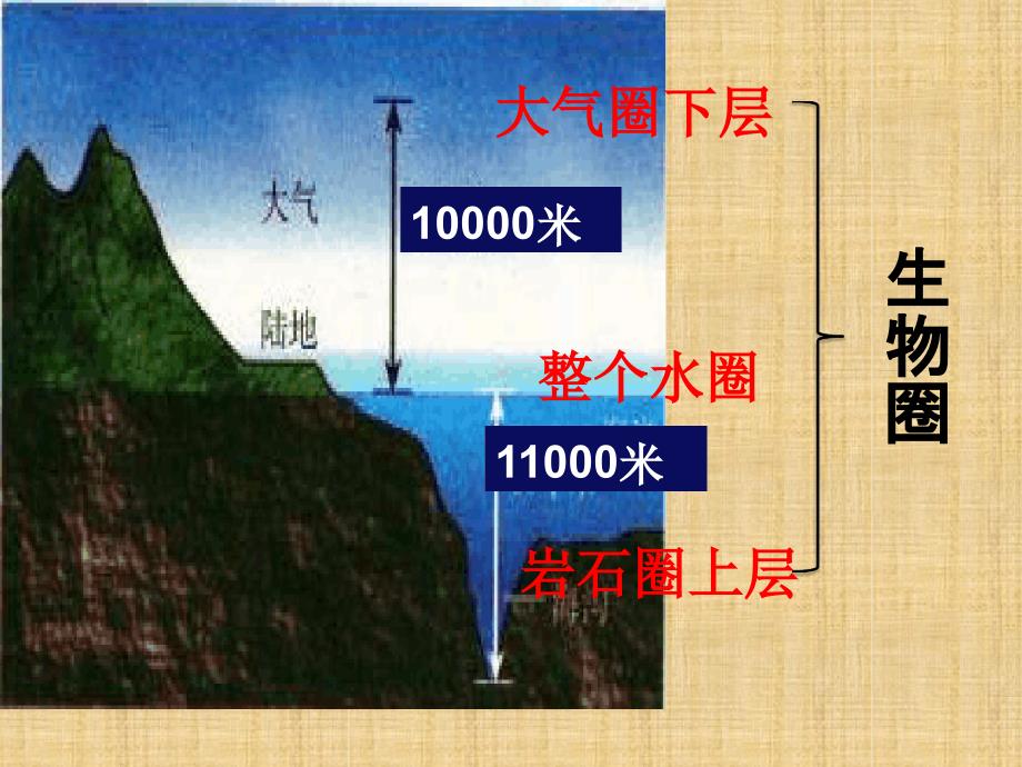 初中七年级生物上册11形形色色的生物名师优质课件新版北师大版_第1页