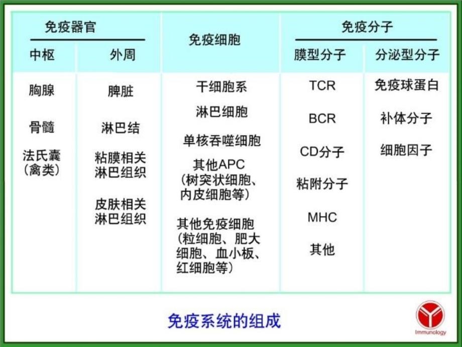 最新医学免疫学第二章免疫组织和器官新PPT课件_第3页