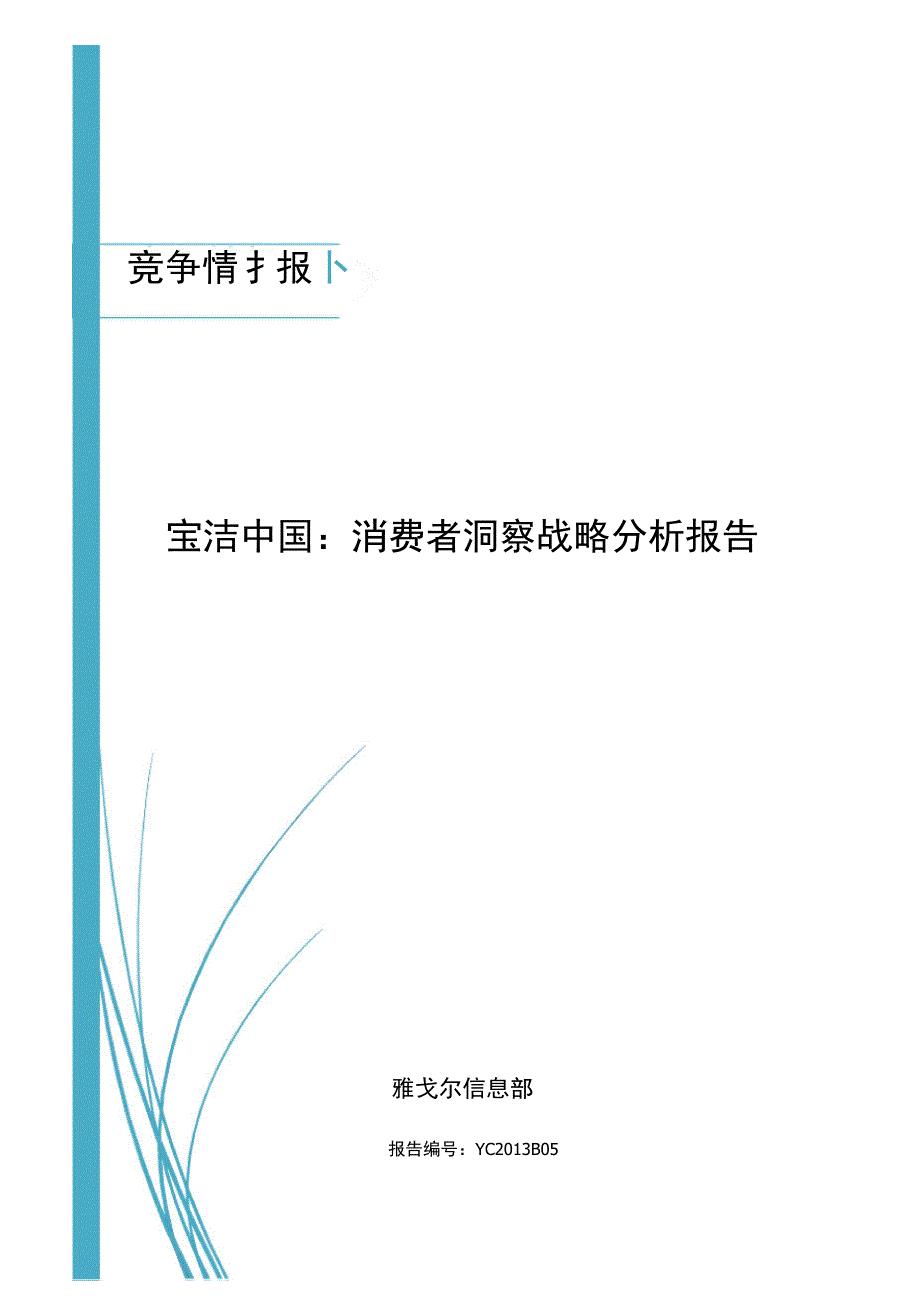 消费者洞察战略分析报告_第1页