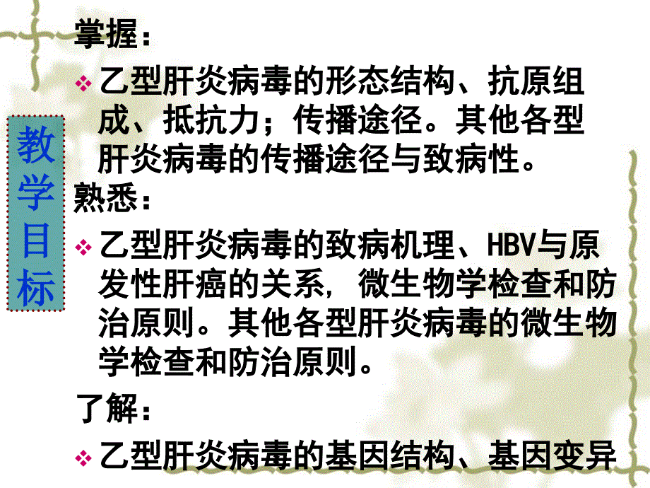 肝炎病毒PPT课件_第2页