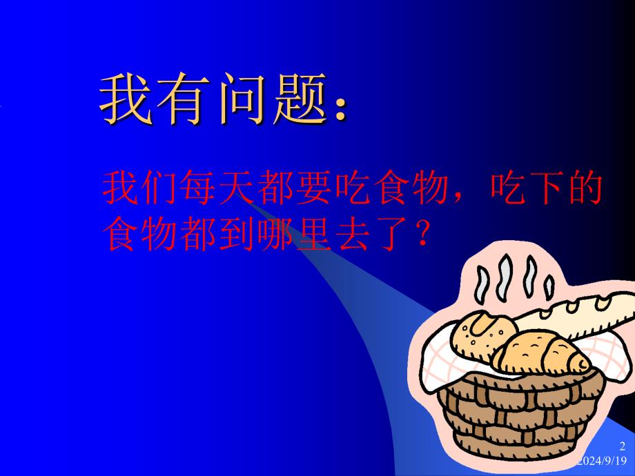 食物哪儿去了科学通用课件_第2页