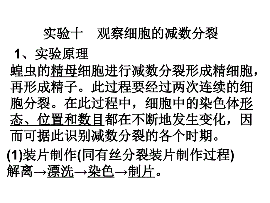 必修2实验部分复习_第1页