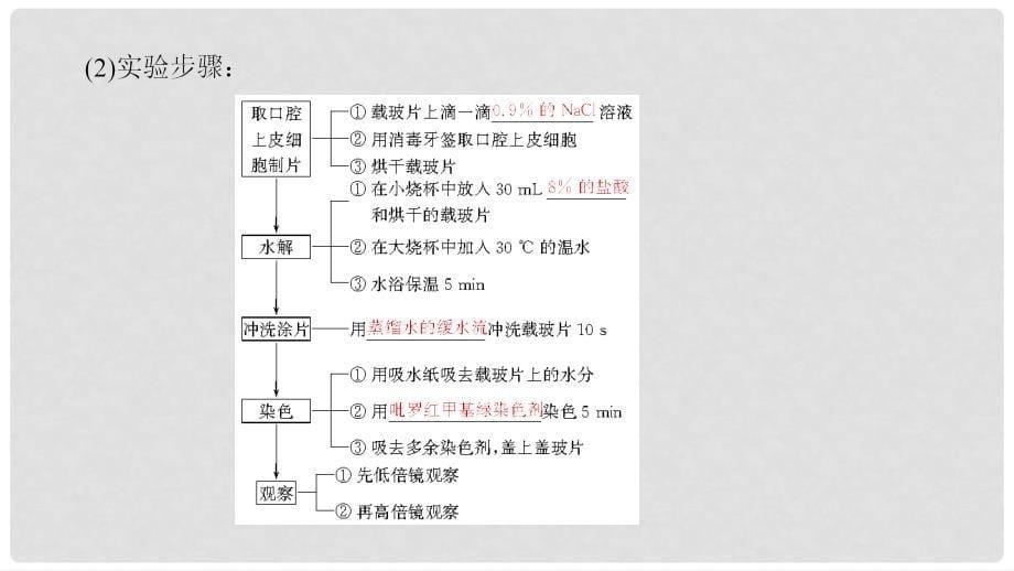 高中生物 第2章 组成细胞的分子 第3节 遗传信息的携带者——核酸课件 新人教版必修1_第5页