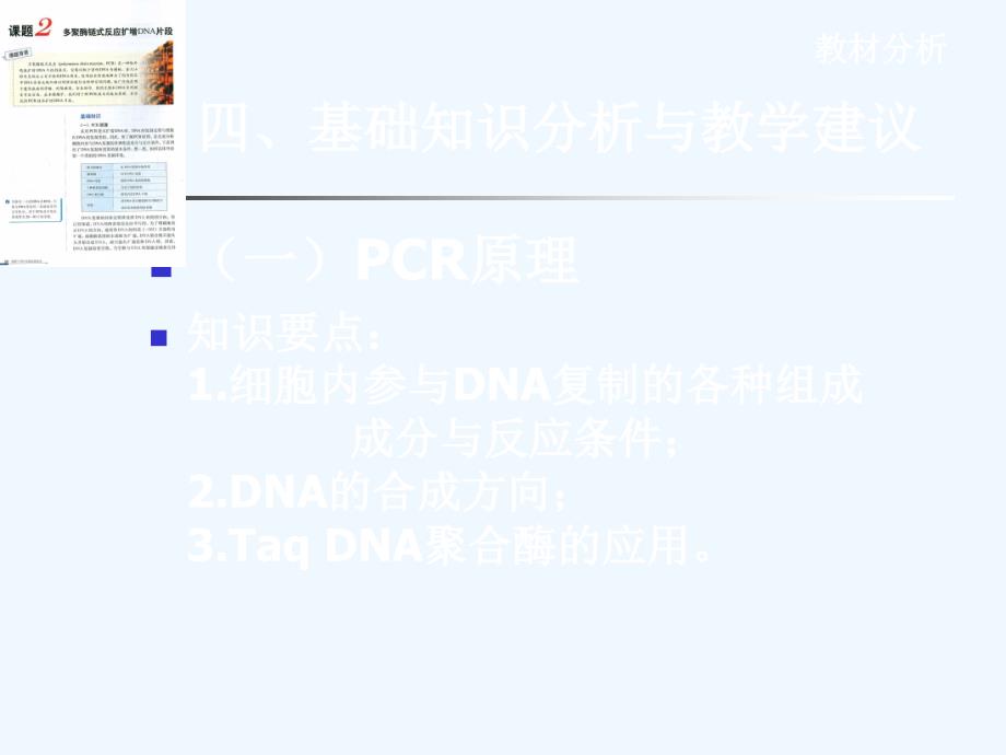 多聚酶链式反应PCR_第4页