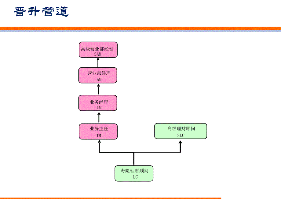 中荷人寿业务制度基本法_第4页