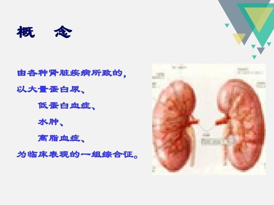 灾害救援肾病综合征课件_第5页