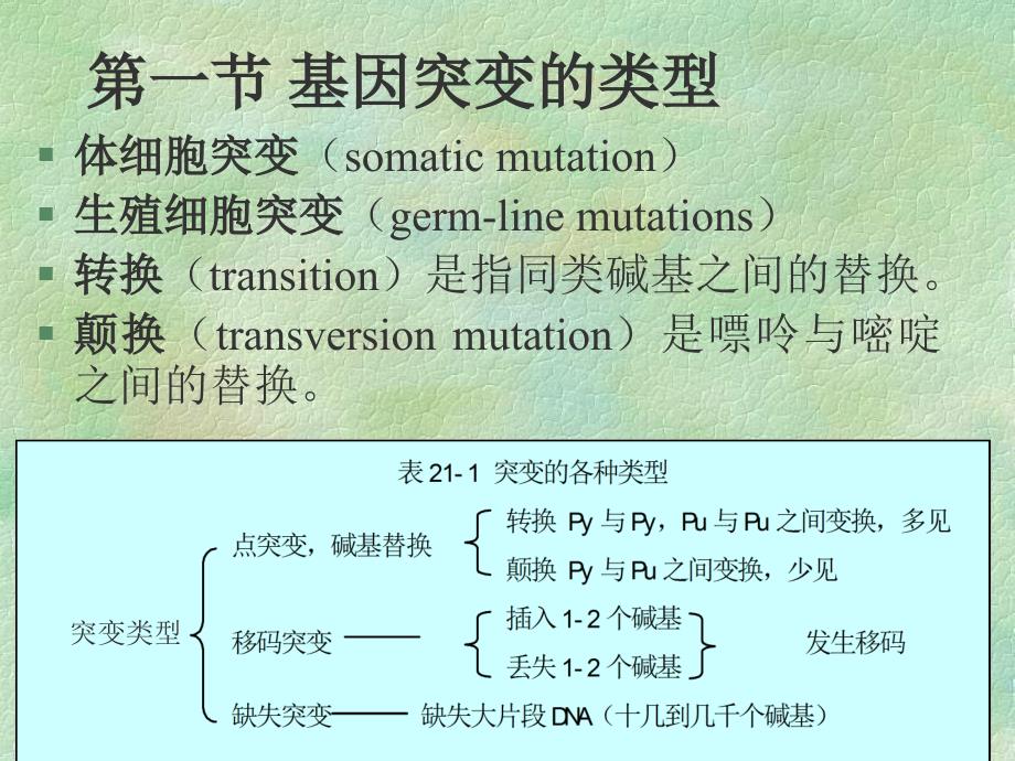 教学课件第二十一章基因突变_第3页