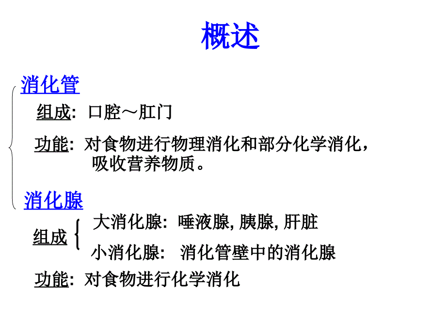 组织学与胚胎学：消化管_第2页