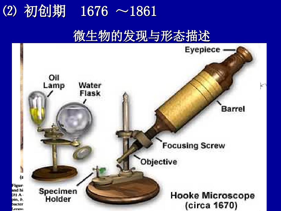 微生物1 绪论_第2页