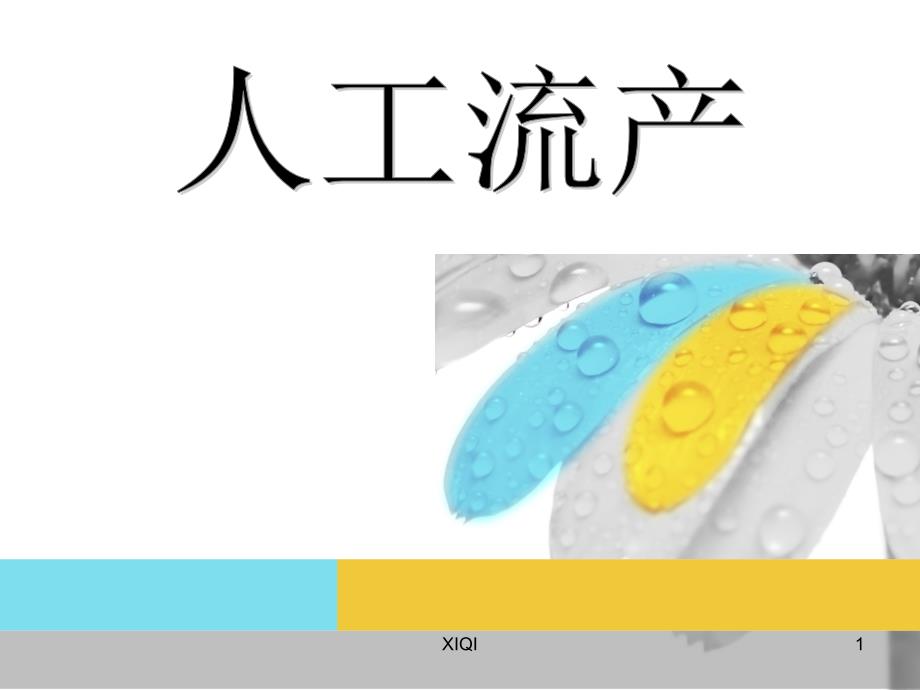 人工流产的伦理争议_第1页