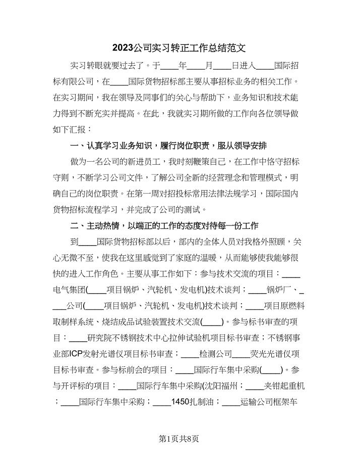 2023公司实习转正工作总结范文（3篇）.doc