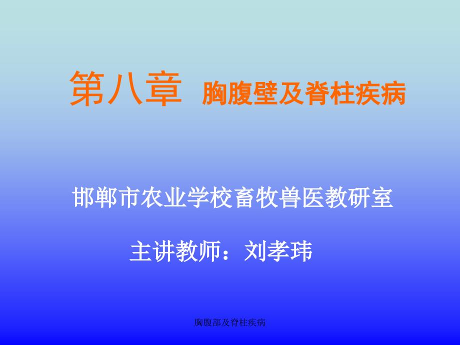 胸腹部及脊柱疾病课件_第1页