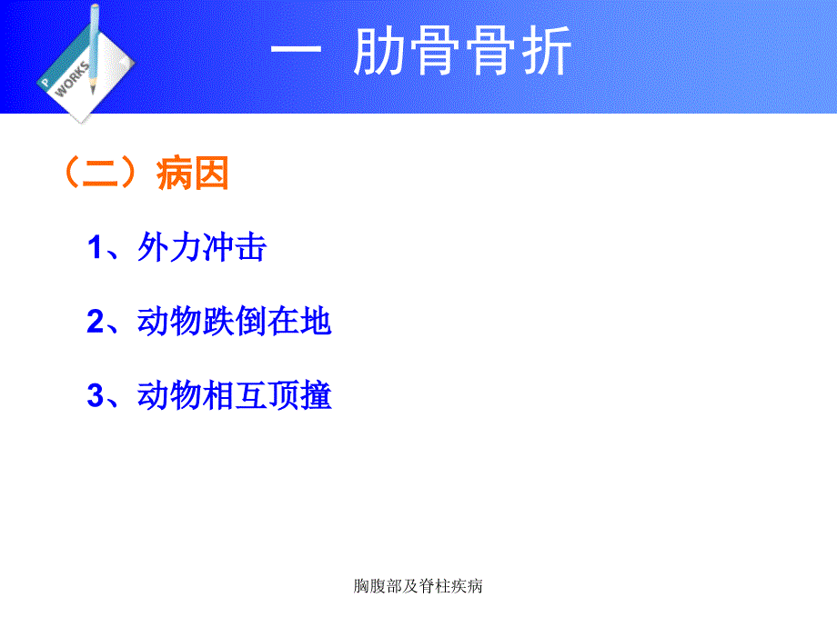 胸腹部及脊柱疾病课件_第3页