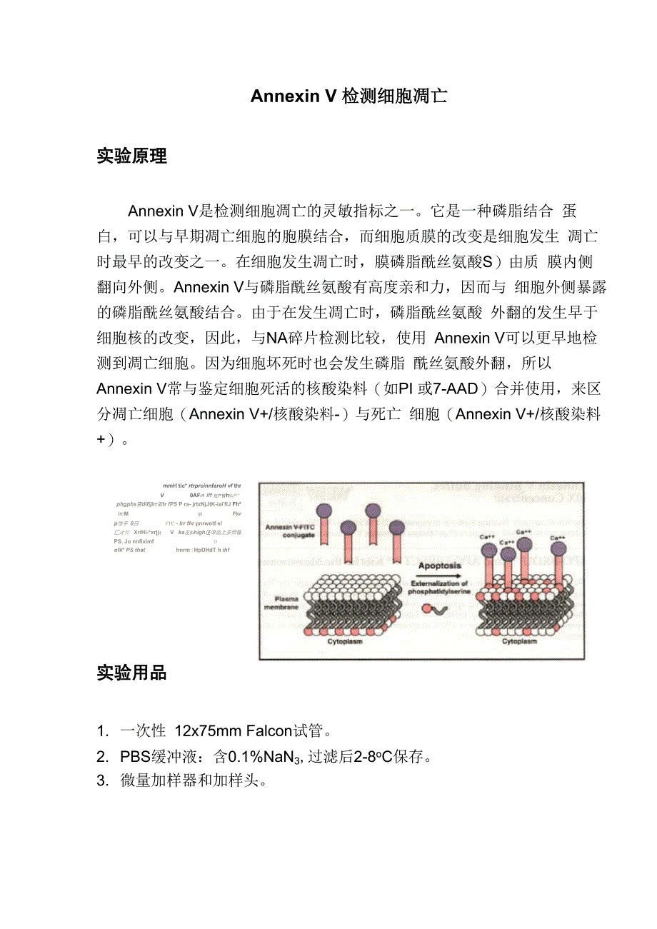 流式细胞仪检测细胞凋亡操作流程 Annexin V 检测细胞凋亡_第1页