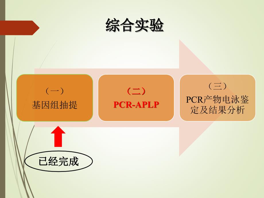 生物化学（实验）：综合实验二 人乙醛脱氢酶2 (ALDH2)多态性分析_第2页