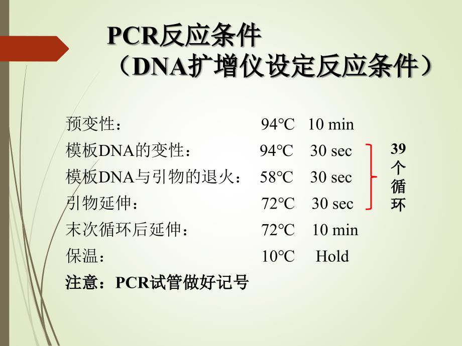 生物化学（实验）：综合实验二 人乙醛脱氢酶2 (ALDH2)多态性分析_第4页