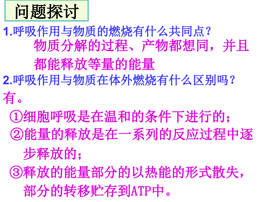 ATP的主要来源细胞呼吸_第2页