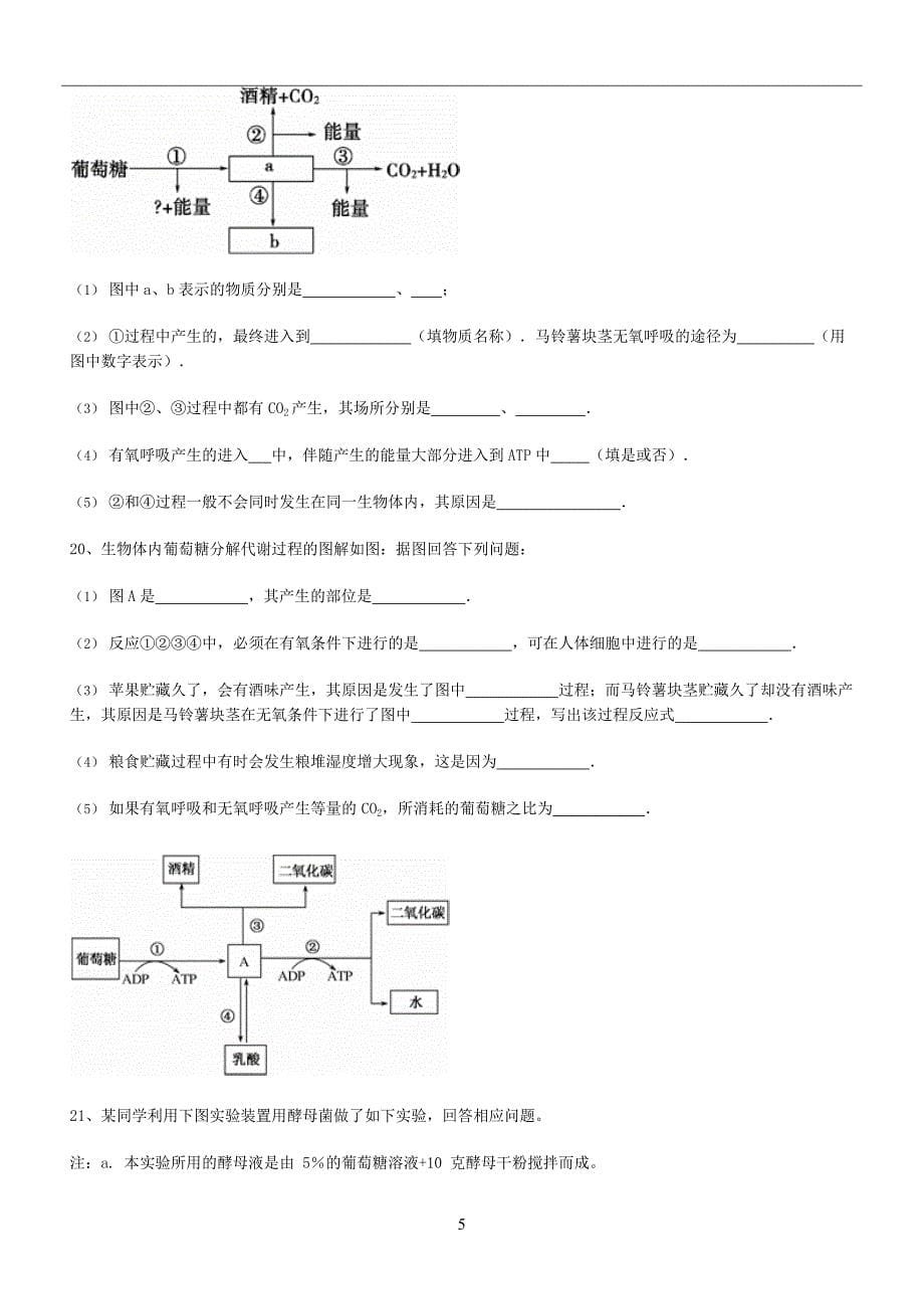 细胞呼吸练习含答案,推荐文档_第5页